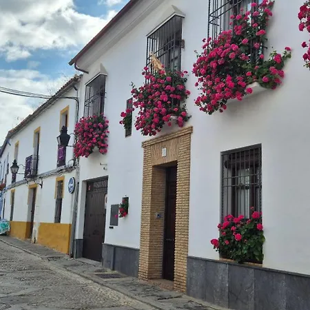 Daire Puerta A Patios